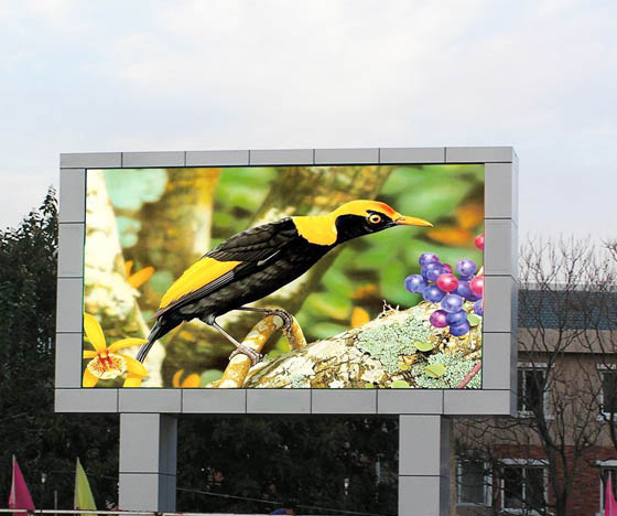 户表全彩LED显示屏图片