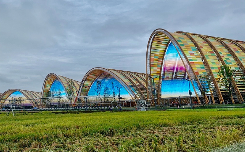 首页- 人生就是博中国官网入口